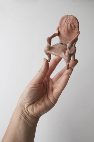 Illustration for article titled Doll House furniture made out of human skin
